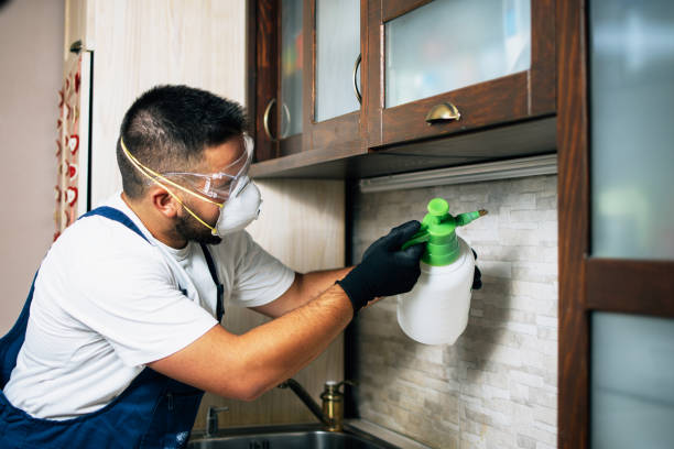 Best Flea Control Services  in Shannon, MS
